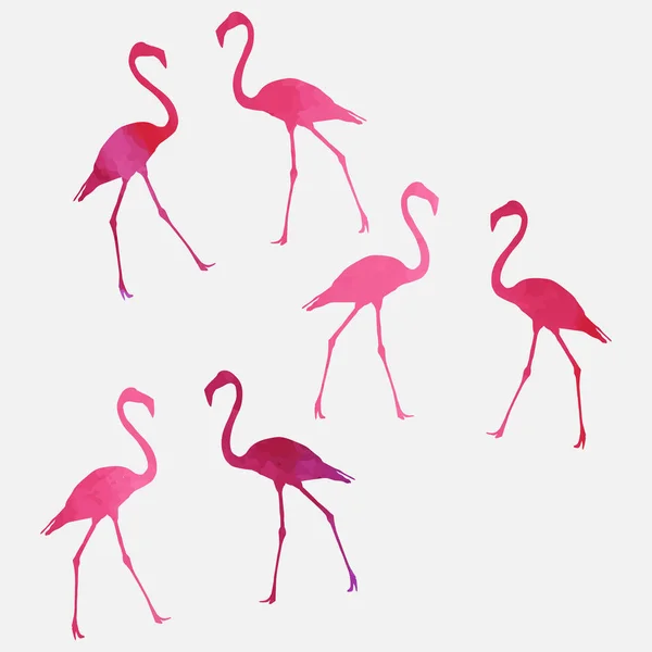 Set of a flamingo — Stock Vector