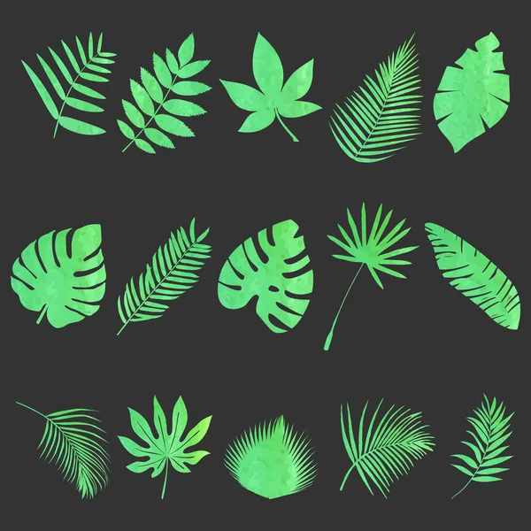 Set of leaves — Stock Vector