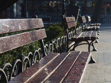 Tahta bir park bankında çiy damlaları ve demir kenarları. Dawn..