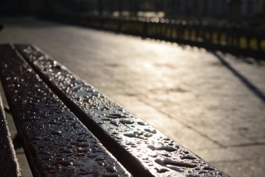 Tahta bir park bankında çiy damlaları ve demir kenarları. Dawn..