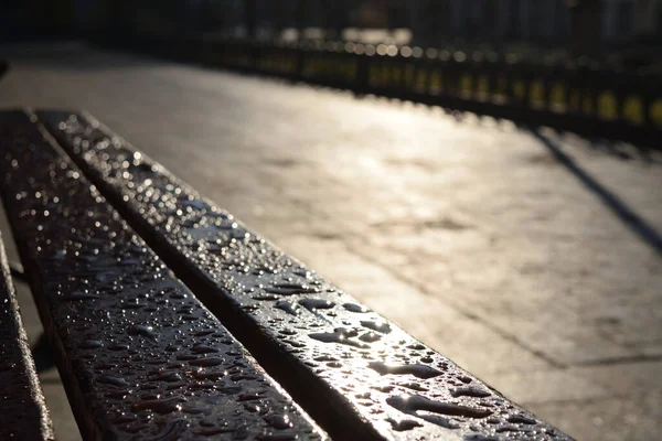 Tahta bir park bankında çiy damlaları ve demir kenarları. Dawn..