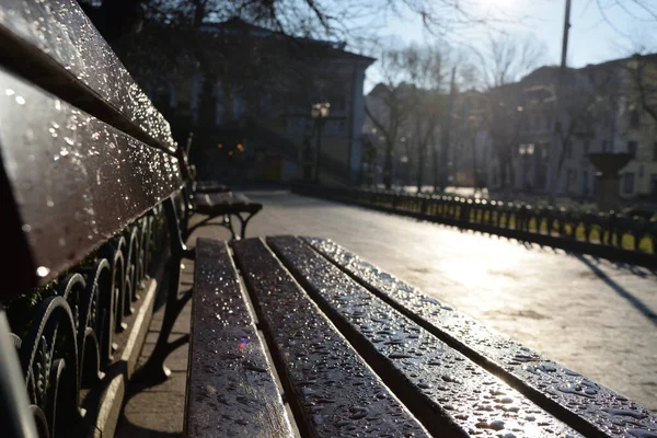 Tahta bir park bankında çiy damlaları ve demir kenarları. Dawn..