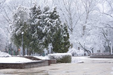 Kar yağarken Şehir Parkı