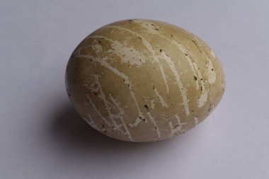 Beyaz arka planda kamuflaj renginde Paskalya yumurtaları.