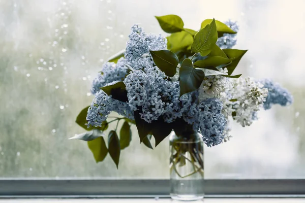 Leylak yağmurlu penceresinde buket