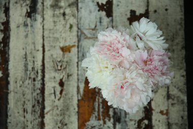 Eski beyaz tahtaların arka planında pembe şakayık demeti