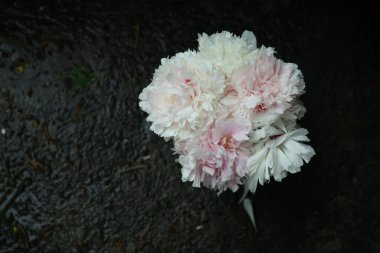 Bir buket pembe şakayık ıslak zemindeki cam vazoda duruyor.