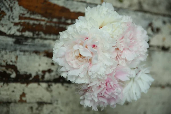 古いホワイトボードの背景にピンクの牡丹の花束 — ストック写真