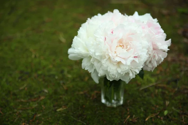 ピンク色の牡丹の花束が緑の芝生の上のガラス花瓶に立っています — ストック写真
