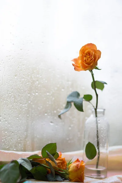 Parapetu Stojí Krásná Oranžová Růže Skleněné Láhvi Pozadí Zamlženého Okna — Stock fotografie