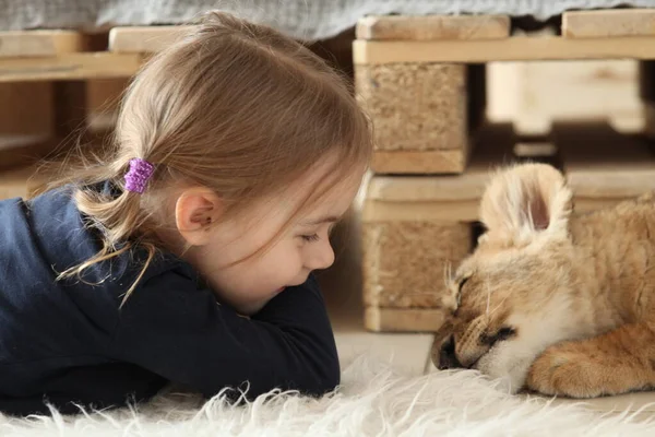 Una Niña Miente Mira Cachorro León Joven Concepto Amistad — Foto de Stock