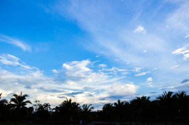 Komik Park, sokak, Bisiklet