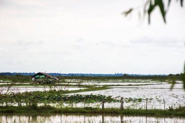 Suyun ortasında, sular altında alanlar iddia