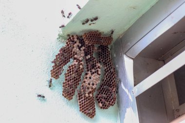 Köşedeki altıgen dekoratif tasarım