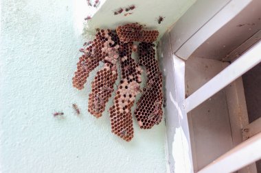 Köşedeki altıgen dekoratif tasarım