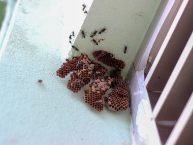 Köşedeki altıgen dekoratif tasarım