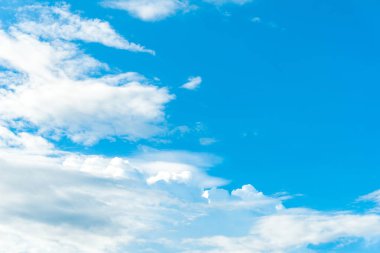 Mavi gökyüzü, beyaz şahin arka plan