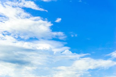 Mavi gökyüzü, beyaz şahin arka plan