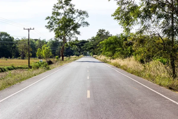 Estradas rurais Paisagem, árvore ao longo do caminho . — Fotografia de Stock