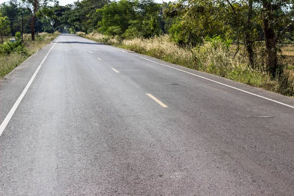 Estradas rurais Paisagem, árvore ao longo do caminho . — Fotografia de Stock