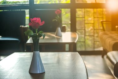 Pembe Gül bir tablo, sevgi ve kalpleri Valen tarih kavramı üzerinde