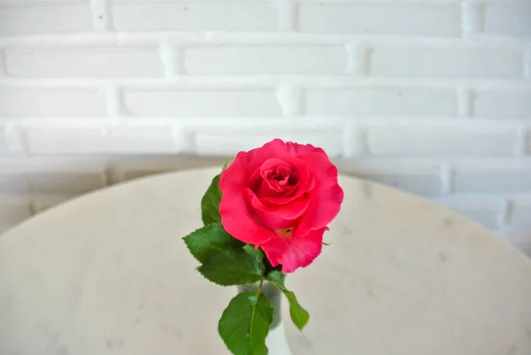 Розовые розы на столе, концепция любви и сердца на Вален — стоковое фото