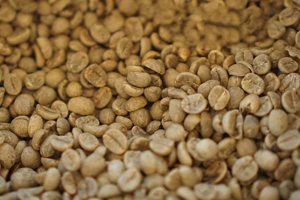 Granos de café, después de las ideas de suelo o el negocio de la cafetería . —  Fotos de Stock