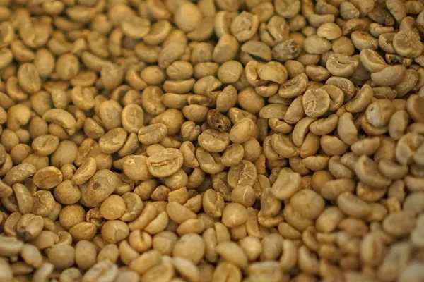 Granos de café, después de las ideas de suelo o el negocio de la cafetería . — Foto de Stock