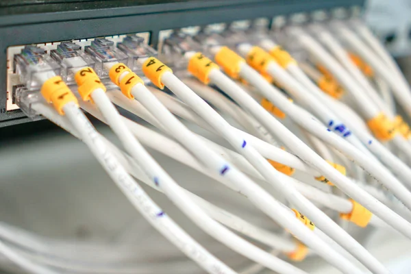 La prise Ethernet rj45 continuait jusqu'au commutateur de moyeu . — Photo