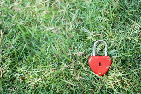 Ключевые красные сердца на газоне, концепция любви и Валентина — стоковое фото