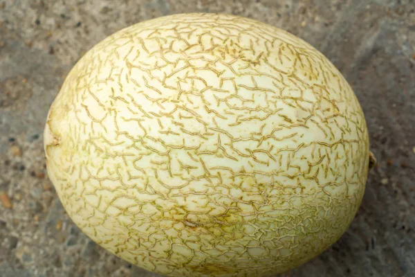 Cantaloupemelon på marken med sprucken hud. — Stockfoto