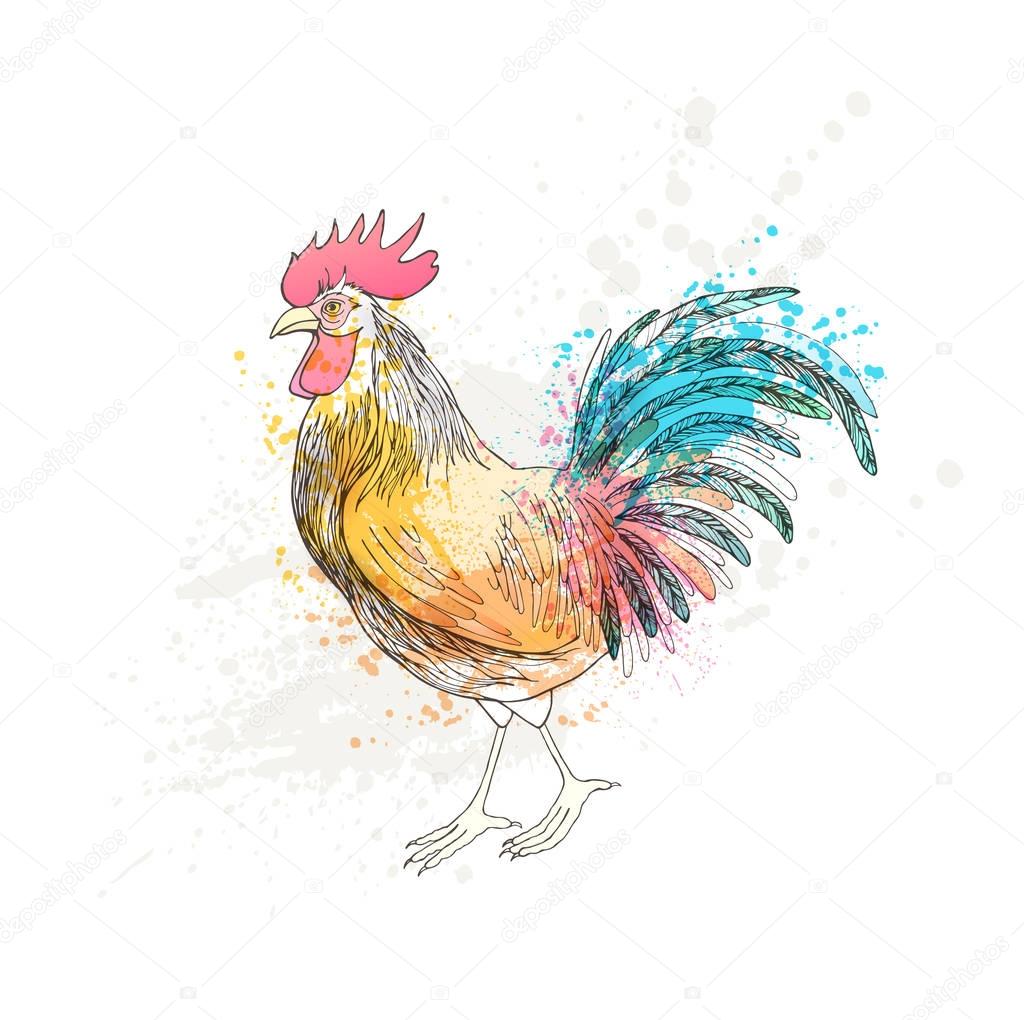 Watercolor colorful cock