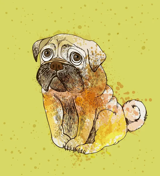 Grappige Achtergrond Met Hand Drawn Hond Vector Vector Achtergrond Met Stockillustratie