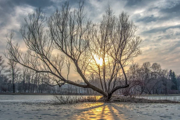 Zachód słońca zimą i jeziora — Zdjęcie stockowe