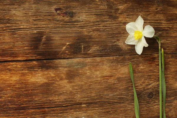 Flower Lies Wooden Background Place Text — Stock Photo, Image