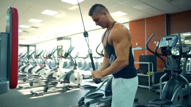 Bodybuilder masculin travaillant au ralenti gymnase — Video