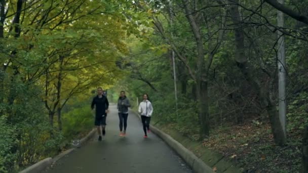 Две молодые здоровые женщины и мужчина бегают в парке замедленной съемки — стоковое видео