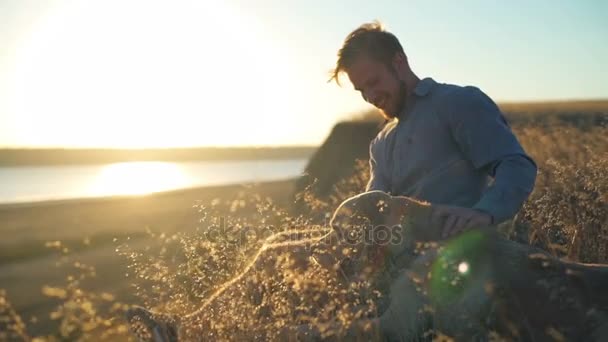 Happy male gently caressing old dog in field on sunset — Stock Video