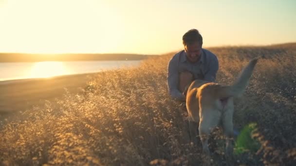若者は日没で乾いた草でそっと馴致老犬 — ストック動画