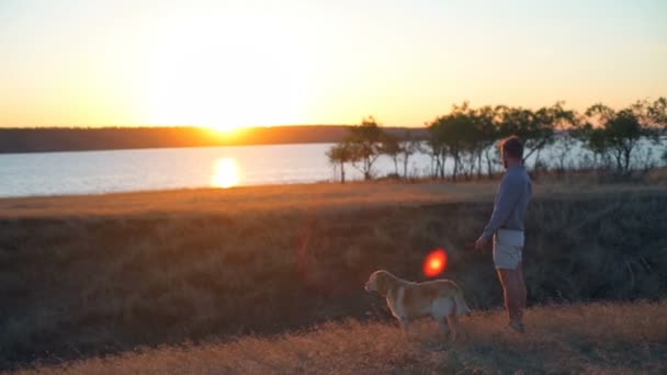 人と犬の美しい日没風景を楽しんで — ストック動画