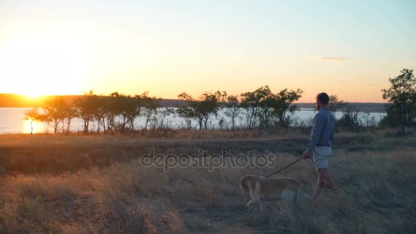 Homme marchant avec un vieux chien le long de la rivière au coucher du soleil — Video