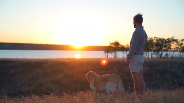 Människa och hund som njuter av vacker solnedgång lanscape — Stockvideo