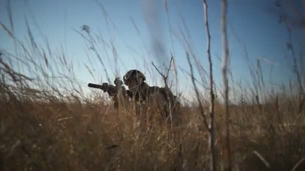 Soldado Airsoft con un rifle y munición completa de la OTAN se agacha en el campo — Vídeo de stock