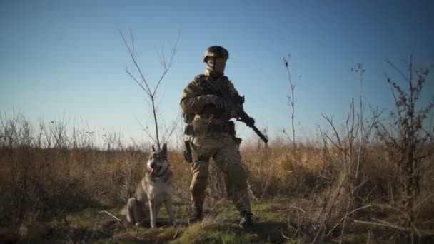 Airsoft soldaat met een geweer en de NAVO munitie staat met een hond in het veld — Stockvideo