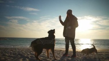 Otur ve pençe üzerinde plaj yavaş hareket vermek için bir köpek eğitim genç bir kadın