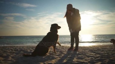 Pençe vermek için bir köpek eğitim ve sahilde besleme genç güzel kadın
