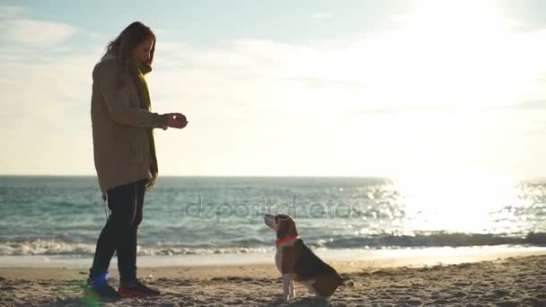 Egy fiatal nő, dobott egy labdát, hogy a beagle, aki fut, elkapni a strandon — Stock videók