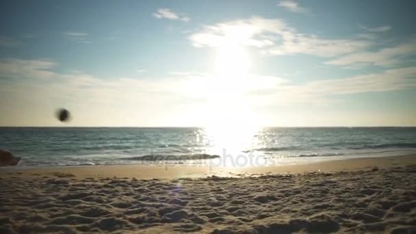 Een speelse beagle speelt fetch, vangt een bal en brengt het terug op het strand — Stockvideo