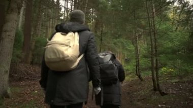 Güzel orman ağır çekimde tepeye tırmanma turist bir grup