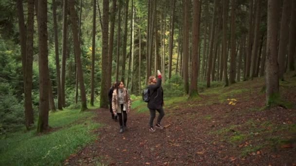 Un grupo de amigos caminando por el hermoso bosque y tomando fotos en cámara lenta — Vídeos de Stock